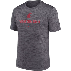 Nike Men's Washington State Cougars Grey Dri-FIT Velocity Legend Logo T-Shirt, Small, Gray