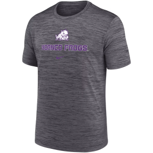 Nike Men's TCU Horned Frogs Grey Dri-FIT Velocity Legend T-Shirt, Small, Gray
