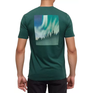 Tentree Men's Northern Aurora T-Shirt, Medium, Forest Pine/Aurora Trln