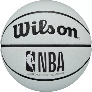 Wilson Wilson NBA Take-Off Basketball, Ice Blue - $17.49 at DICK'S Sporting Goods
