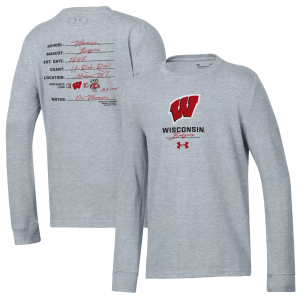 Under Armour Youth Wisconsin Badgers Grey Performance Cotton Long Sleeve T-Shirt, Medium, Gray