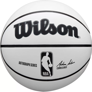 Wilson Wilson NBA Autograph Mini Basketball, 7 inches, Brown/White - $32.99 at DICK'S Sporting Goods