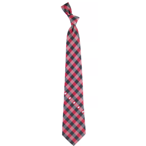 Eagles Wings Wisconsin Badgers Check Necktie, Men's, Team