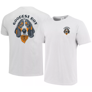 Image One Youth Tennessee Volunteers White Bandana T-Shirt, Medium