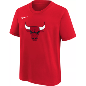 Nike Youth Chicago Bulls Essential Logo T-Shirt, Medium, Red