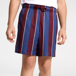 Dsg DSG Boys' Mesh Gym Shorts, Large, Throwback Stripes Burg - $8.97 at DICK'S Sporting Goods