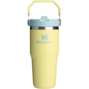 Stanley 14 oz. IceFlow 2.0 Flip Straw Tumbler, Pomelo
