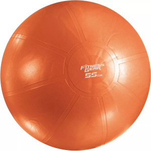 Fitness Gear Fitness Gear Premium Stability Ball, 55 cm, Orange - $19.99 at DICK'S Sporting Goods