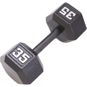 Fitness Gear Fitness Gear Cast Hex Dumbbell- Single - 10 lbs - $14.99 at DICK'S Sporting Goods