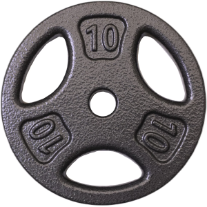 Fitness Gear Fitness Gear Standard Cast Plate - Single - $9.99 at DICK'S Sporting Goods