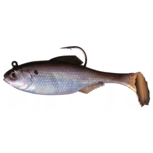 6th Sense Rigged Panorama Swimbait, Live Gizzard Shad