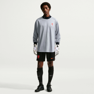 Nike Adult Chelsea FC Fourth Goalkeeper Jersey, Men's, Small, Gray