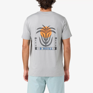O'neill O'Neill Men's Palm Throne UPF Short Sleeve T-Shirt, Large, Heather Grey - $38.00 at DICK'S Sporting Goods