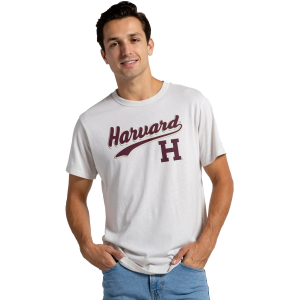 League-Legacy Men's Harvard Crimson Heather Victory Falls T-Shirt, XL, Gray