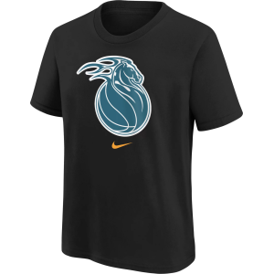 Nike Youth 2025-26 City Edition Detroit Pistons Logo T-Shirt, Medium, Black