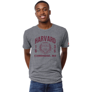 League-Legacy Men's Harvard Crimson Grey Victory Falls T-Shirt, Medium, Gray
