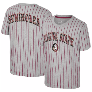 Colosseum Youth Florida State Seminoles Heather Grey Firehawk T-Shirt, Small, Gray