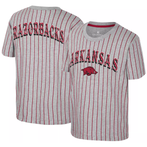 Colosseum Youth Arkansas Razorbacks Heather Grey Firehawk T-Shirt, Small, Gray