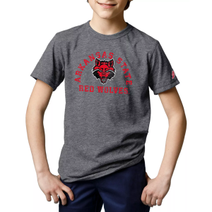League-Legacy League-Legacy Youth Arkansas State Red Wolves Heather Victory T-Shirt, Large, Gray - $30.00 at DICK'S Sporting Goods