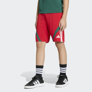 adidas Kids' House Of Tiro Nations Shorts, Large, Better Scarlet/White/Team Dark Green