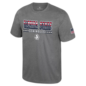 Colosseum Men's Florida State Seminoles Heather Charcoal Blade T-Shirt, Small, Gray