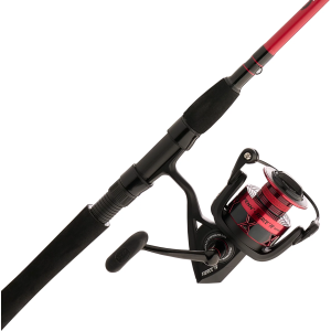 PENN Fishing Fierce IV Spinning Combo, Carbon