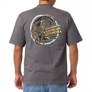 O'Neill Men's Circle Freak Boxy Short Sleeve T-Shirt, XXL, Grey Mineral