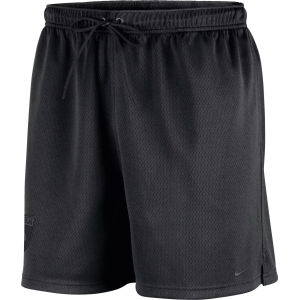 Nike Nike Men's WNBA League 30th Anniversary Legends Mesh Shorts, Small, Black - $22.48 at DICK'S Sporting Goods