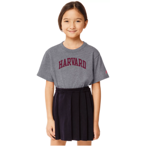 League-Legacy Youth Harvard Crimson Grey Victory Falls T-Shirt, Kids, Medium, Gray