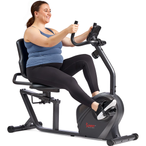 Sunny Health & Fitness Sunny Health & Fitness Magnetic Recumbent Bike, Gray - $324.99 at DICK'S Sporting Goods