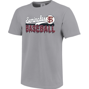 Image One Image One Youth Florida State Seminoles Granite T-Shirt, Small, Gray - $32.99 at DICK'S Sporting Goods