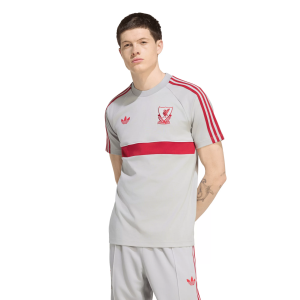 adidas Adult Liverpool Gray 2026 T-Shirt, Men's, Small