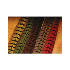 Hareline Dubbin Ringneck Pheasant Tail Feathers - Green - One Size