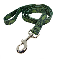 RepYourWater Dog Leash - Backcountry Brookie