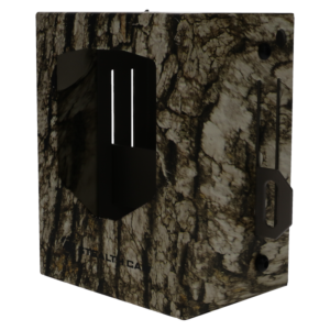 Security / Bear Box for Stealth Cam