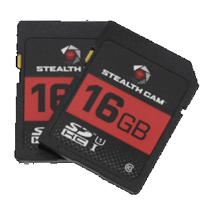 16GB SD Card Double Pack