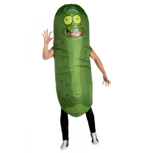 Rick and Morty Pickle Rick Inflatable Adult Costume