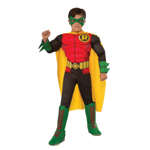DC Comics Deluxe Child Robin Costume