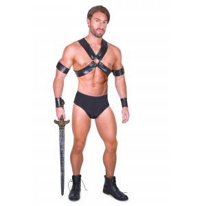 Sexy Gladiator Men's Costume
