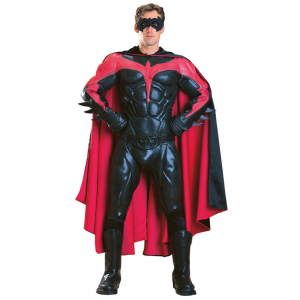 Adult Authentic Robin Costume
