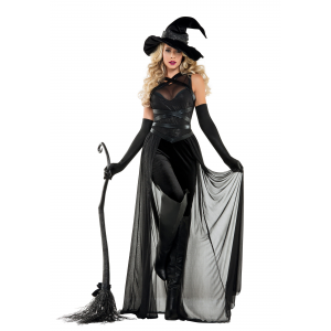Women's Raven Witch Costume