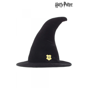 Hogwarts Student Witch Hat
