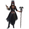 Plus Voodoo Magic Women's Costume