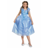 Tween Cinderella Movie Costume