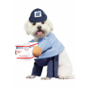 Dog USPS Mail Carrier Costume