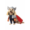 Pet Thor Costume