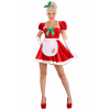 Sexy Classic Mrs. Claus Costume for Women