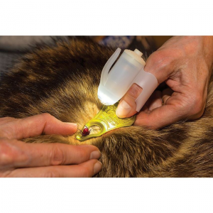 TickSee Light KT TickSee Tick Removal Kit with Wearable LED Flashlight