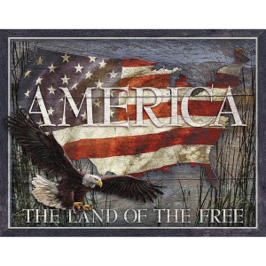 Tin Signs 2159 16 x 12 1/2 Inch America Land of Free