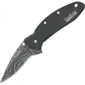 Kershaw 1600DAMBK Chive Framelock Assisted Opening Dam